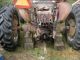 International Harvestor Farmall 606 (?) W/ Rebuilt Engine Tractors photo 2