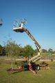 Jlg T350 41 ' Boom Lift,  Auto Leveling,  Battery Powered,  2006,  Tires & Jack Lifts photo 7