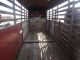 (4 Horse) Gooseneck Livestock Trailer Trailers photo 4