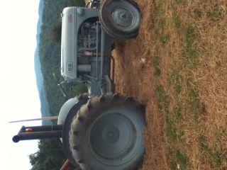 8n Farm Tractor photo