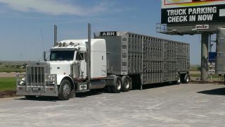 2001 Peterbilt 379 photo