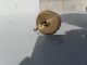 Lunkenheimer Oiler No 1 1/2 Fig,  1298 Royal Hit&miss Antique & Vintage Farm Equip photo 2