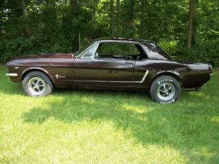1965 Ford Mustang photo