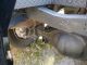 2005 Ford F - 450 Wreckers photo 5