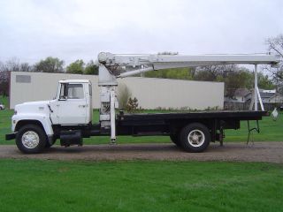 1975 Ford Ln800 photo