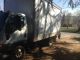 2001 Mitsubishi Box Truck Box Trucks / Cube Vans photo 2