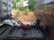 1984 Peterbilt 359 Sleeper Semi Trucks photo 5
