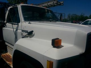 1987 Ford F700 photo