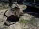 Antique Tractor Fordson Antique & Vintage Farm Equip photo 4