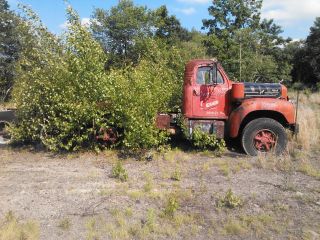 1960 Mack B - 422,  B - 61 photo