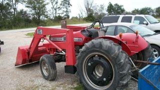 Massey Furguson Tractor/with Loader photo