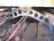 1964 Peterbilt 351 Daycab Semi Trucks photo 20