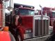 1984 Kentworth W900b Dump Trucks photo 3