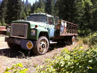 1975 International Truck photo