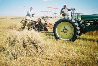 Mccormick Deering Ground Driven Grain Binder photo