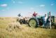 Mccormick Deering Ground Driven Grain Binder Antique & Vintage Farm Equip photo 2