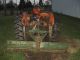 Allis Chalmers Wd With 3 - Point And Blade Antique & Vintage Farm Equip photo 4