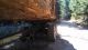 2002 Kenworth T800 Daycab Semi Trucks photo 18