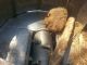 Ready To Make Mulch - 1994 Vermeer Tub Grinder Wood Chippers & Stump Grinders photo 7