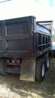 1977 Ford 9000 Dump Trucks photo 3