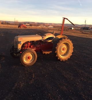8n Ford Tractor photo
