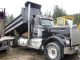 1979 Kenworth W900 A Dump Trucks photo 3