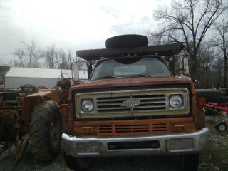 1975 Chevrolet C65 photo