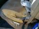 2001 Ford Wreckers photo 16