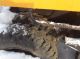 1990 Liebherr A912 Excavator Rubber Tire Material Rotobec Grapple Logging Excavators photo 6