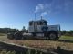 1986 Peterbilt 359 Sleeper Semi Trucks photo 3