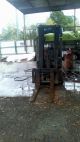 Forklift: 2003 Toyota,  Cushion Tires Forklifts photo 5