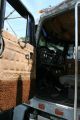 1983 Peterbilt 359 Daycab Semi Trucks photo 9