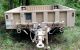 M1101 Tactical Trailer By Silver Eagle Manufacturing Trailers photo 1