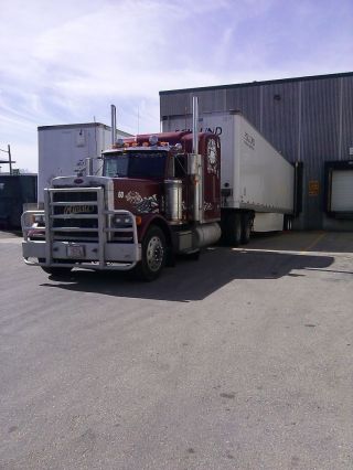 1999 Peterbilt 379 Exh photo