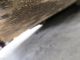 2011 Leeboy 8515b Asphalt Paver W/only 2265 Hours Pavers - Asphalt & Concrete photo 7