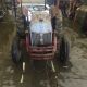 8 N Ford Tractor Antique & Vintage Farm Equip photo 1