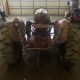 8 N Ford Tractor Antique & Vintage Farm Equip photo 2