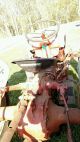 Ford 8n Tractor With Scrapper Antique & Vintage Farm Equip photo 2