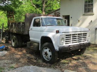 1979 Ford F600 photo