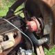 1952 Ford 8n With Funk 6 Cyl.  Conversion Antique & Vintage Farm Equip photo 6
