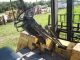 Caterpillar R80 All Terrain Forklift,  Diesel Engine,  8000 Lb.  Capacity,  Shuttle Forklifts photo 10