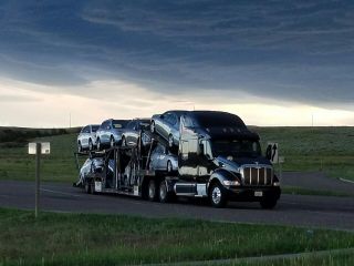 Car Hauler Cottrell 5309 Peterbilt 387 photo