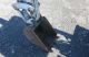 Bobcat 325 Mini Excavator,  Orops,  1400 Hours Reduced Reduced Excavators photo 6