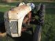 1952 8n Ford Tractor Tractors photo 10